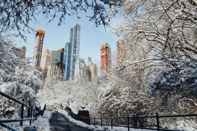 Central Park nevado durante el invierno en Nueva York Central Park cubierto de nieve con los rascacielos de Manhattan al fondo durante el invierno en Nueva York.