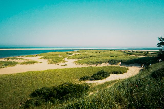 Paisaje de dunas y costa en Cape Cod Dunas, senderos de arena y humedales costeros frente al mar en Cape Cod, Massachusetts.