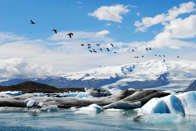 Laguna glaciar Jökulsárlón en Islandia, con bloques de hielo, aves en vuelo y el glaciar Vatnajökull al fondo.