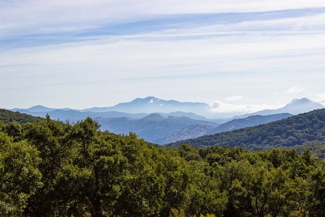Paisajes de sierra en la ruta del jamón ibérico en España Paisaje de sierra con encinares y montañas en una región vinculada a la producción de jamón ibérico en España.