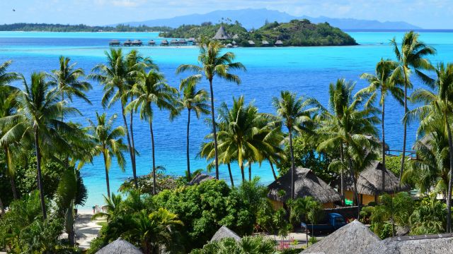 Paisaje tropical de la Polinesia Francesa con palmeras, laguna turquesa y bungalows sobre el agua