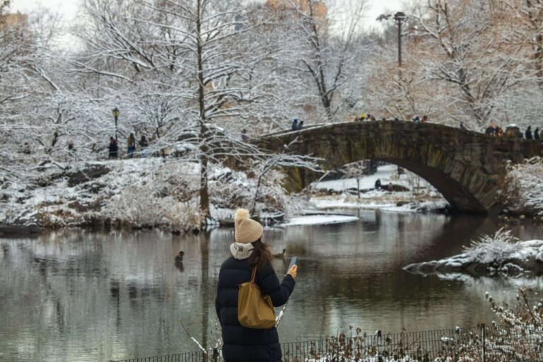 central-park-nieve-gapstow-bridge-invierno-nueva-york-2026-2027