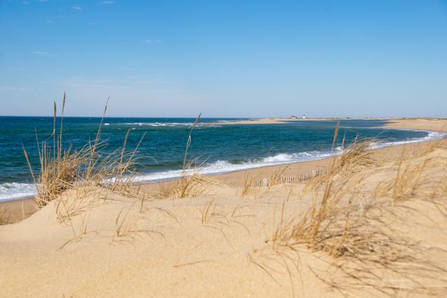 Playas y dunas de Cape Cod en Massachusetts Playa de Cape Cod con dunas de arena, vegetación costera y el océano Atlántico en Massachusetts.