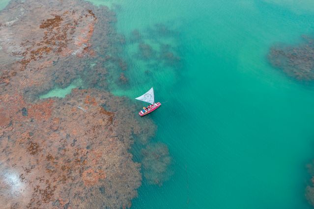 Vista aérea de una jangada sobre las piscinas naturales de Porto de Galinhas, en Pernambuco, Brasil.