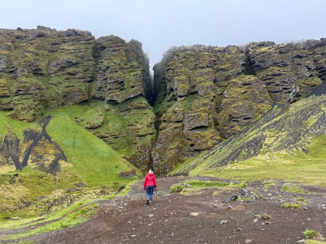 Viajera camina hacia un desfiladero de roca volcánica cubierto de musgo en Islandia.