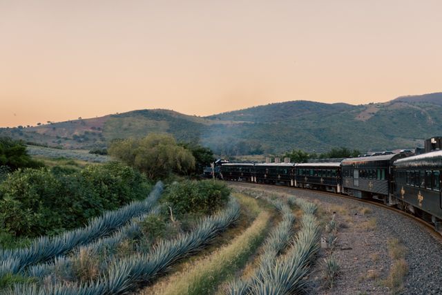Tren turístico recorriendo campos de agave y montañas en Jalisco, México, al atardecer.
