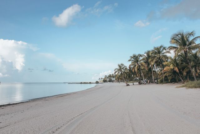 Big Pine Key, Florida: una de las islas más baratas para viajar en 2026 Playa tranquila con palmeras en Big Pine Key, en los Cayos de Florida