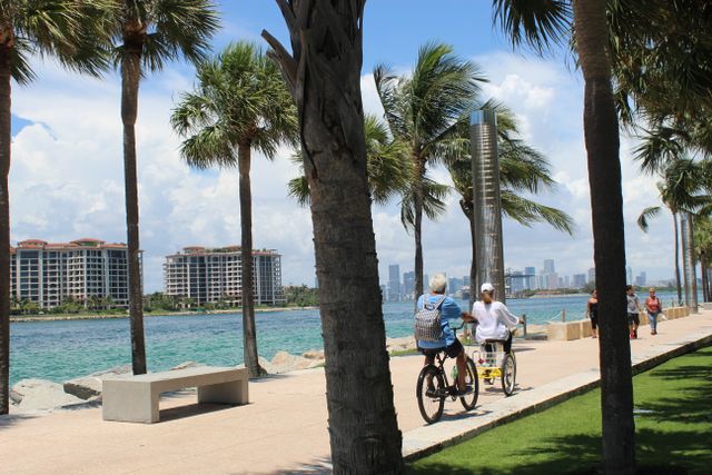 Ciudades deportivas del mundo: ciclismo y actividad física al aire libre Personas recorren en bicicleta un paseo costero con palmeras y edificios urbanos al fondo