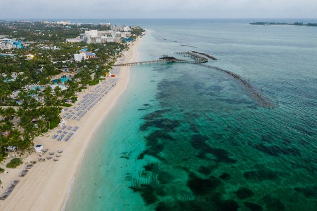 Grand Bahama: una de las islas más baratas para viajar en 2026 Vista aérea de una playa de Grand Bahama con aguas turquesas, arena blanca y resorts frente al mar