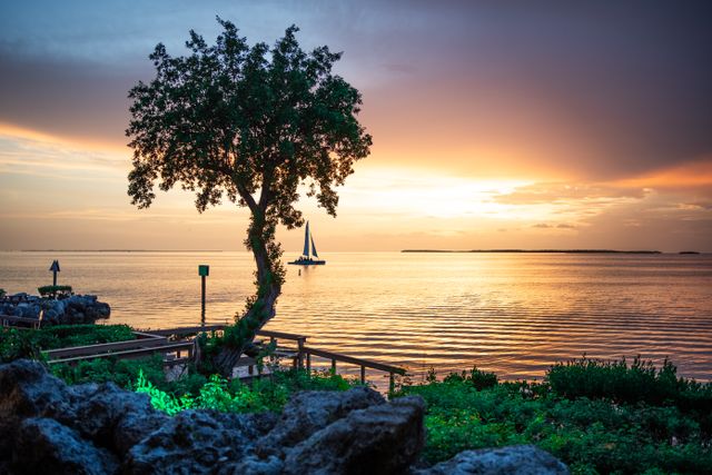 Key West, Florida: una de las islas más baratas para viajar en 2026 Atardecer en Key West, Florida, con un velero sobre el mar y vegetación en primer plano