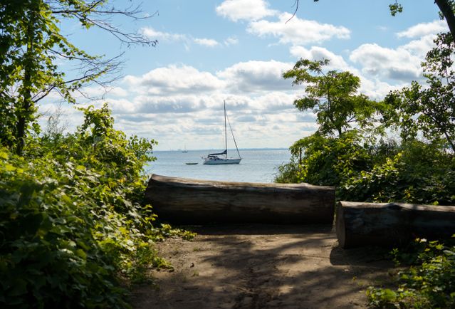 Velero navegando por el lago Ontario visto desde una orilla arbolada