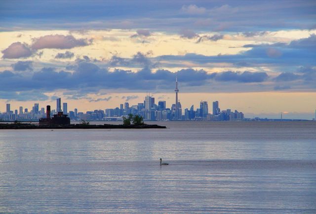 Vista del skyline de Toronto y la CN Tower desde las aguas del lago Ontario