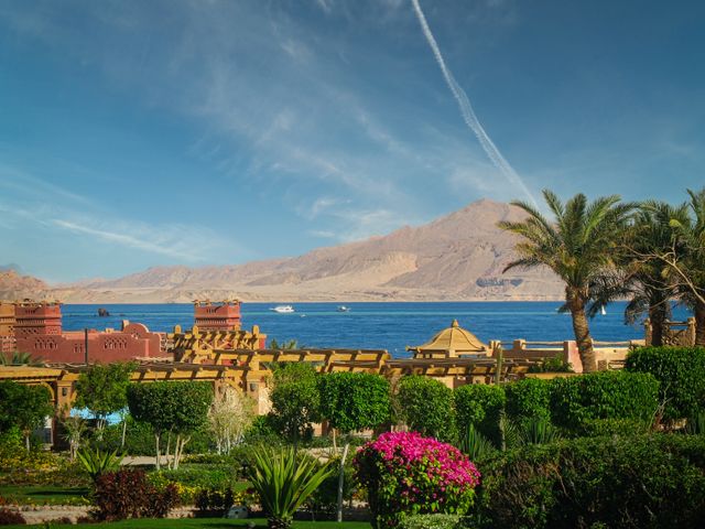 Mejor época para visitar el mar Rojo durante un viaje a Egipto Resort junto al mar Rojo en Egipto con palmeras, jardines y montañas desérticas al fondo