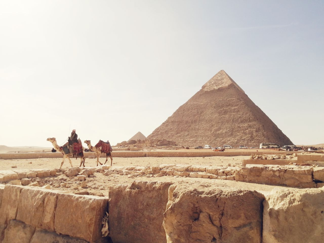 Camellos frente a las pirámides de Giza en Egipto bajo un cielo despejado