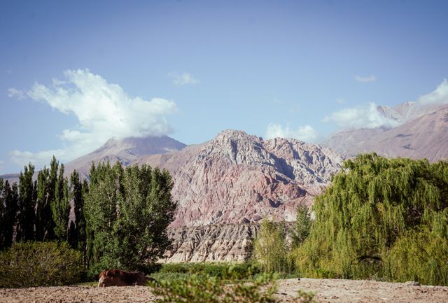 Paisajes de Mendoza en una ruta de bodegas Paisaje de Mendoza con vegetación, formaciones montañosas y la Cordillera de los Andes al fondo