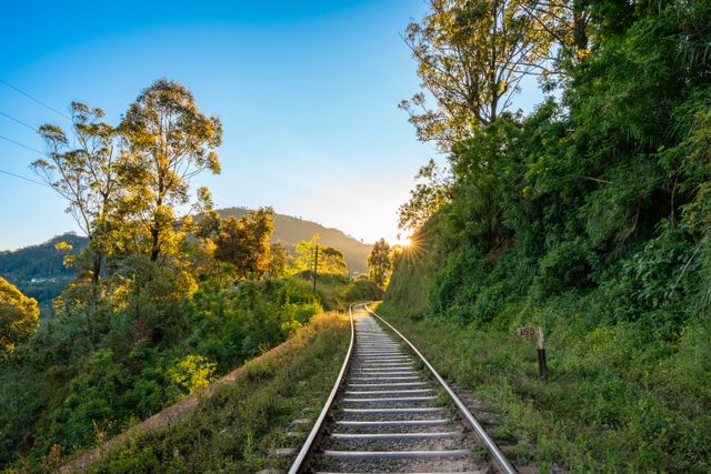 Vías de tren rodeadas de vegetación en el Pekoe Trail de Sri Lanka al atardecer