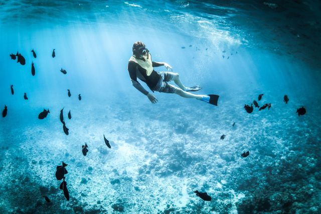 Mejor época para hacer snorkel en Maldivas Viajero practica snorkel entre peces en aguas transparentes de Maldivas
