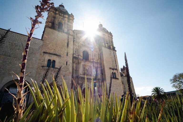 Templo de Santo Domingo de Guzm&aacute;n en Oaxaca de Ju&aacute;rez visto entre agaves