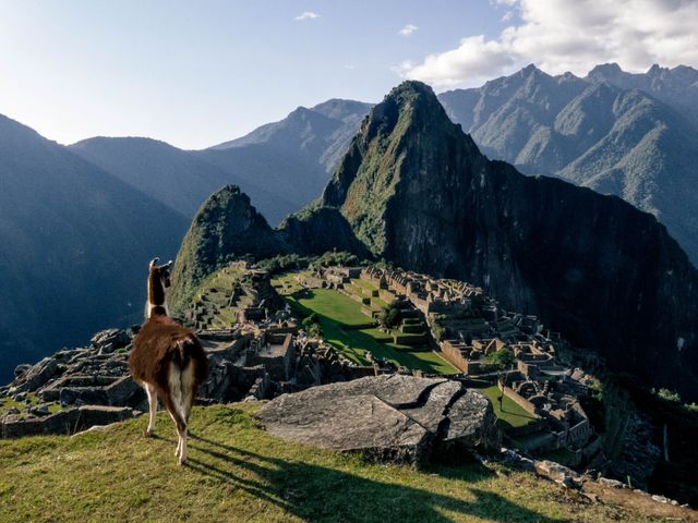 Llama frente a la ciudadela de Machu Picchu con Huayna Picchu y montañas de los Andes al fondo