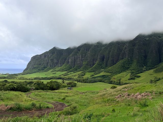 Mejor época para viajar a Hawaii según clima, precios y actividades Paisaje verde y montañoso de Hawaii con nubes bajas sobre los acantilados
